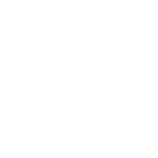 2014 Not Interested 10x4
