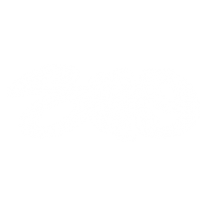 2016 Sexy 10x4