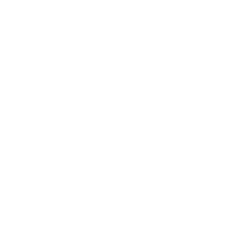2058 Basketball Butt Print 10x4