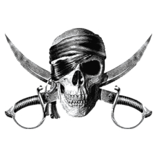 2084 Pirate Skull Swords 13x9