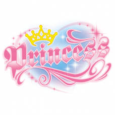 2091 Princess 8.75x6