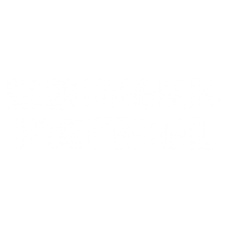 2145 Border Patrol 11.5x4