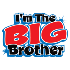 2158-Im-The-Big-Brother-6x4.25
