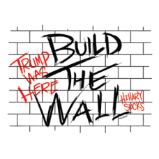 2217 Build The Wall 11.5x8.5
